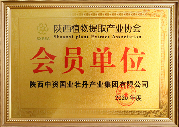 ���ʡʾ���@�^